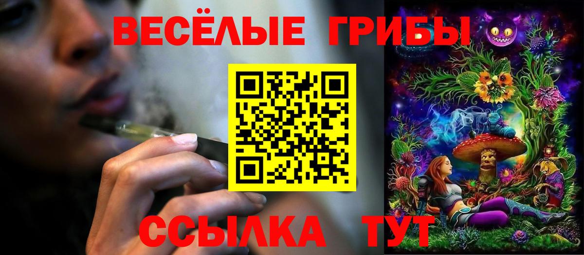 Псилоцибиновые грибы мицелий  Галлюциногенные грибы Cubensis  Вход с VPN  Черногорск 