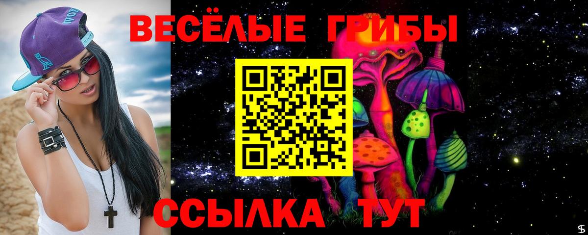 Галлюциногенные грибы Cubensis Черногорск